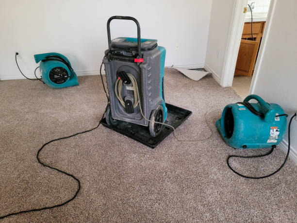 Best 24/7 water damage repair  in Waterford, WI