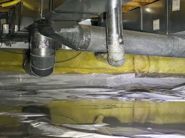 Best Carpet water damage restoration  in Waterford, WI