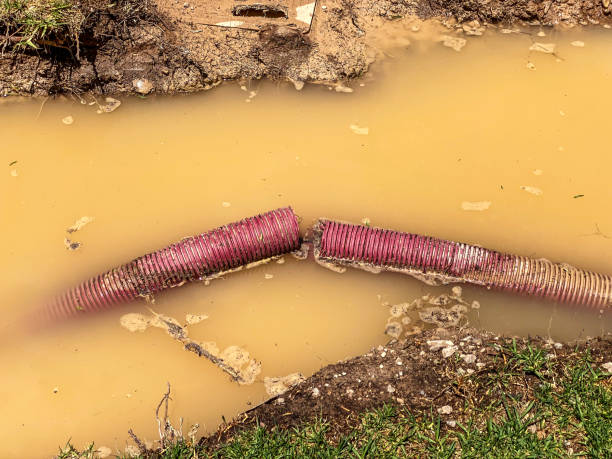 Water damage restoration experts in Waterford, WI