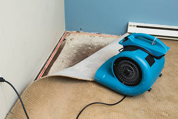 Best Basement water damage restoration  in Waterford, WI